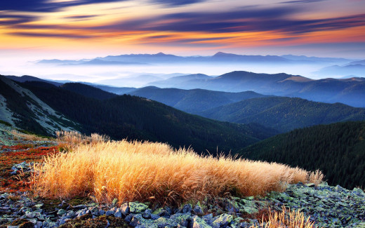 509877 (a): :2560x1600